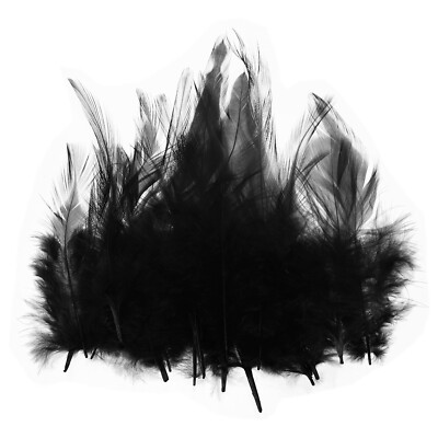 100 Pcs 3-5'' Rooster Feathers Bulk Natural Feather for Crafts Black