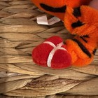 Bild 6 von 10