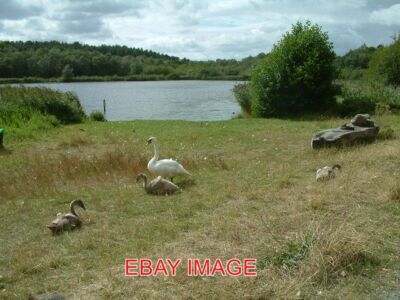 FOTO HATCHMERE LAKE HATCHMERE SEE UND EINIGE SEINER WILDTIERE, FÜR DIE ICH GESORGT HABE