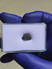 Boutel Fil Meteorite 1.095g Individual | Personal Collection | Oriented |COA — photo 5
