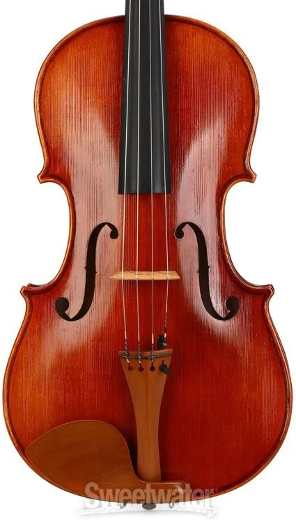 Eastman VA200 Andreas Eastman Intermediate Viola - 16.5-inch - Image 3 of 4