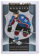 Brad Richardson 2005-06 Artifacts Rookie Card #264 /750