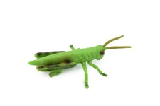 Grasshopper, Realistic Toy Figure, Model, Replica, 3 1/2" CH272 BB124