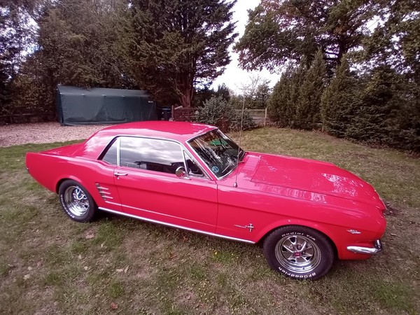 eBay - 1966 FORD MUSTANG 289 V8/C4...