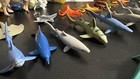 22- Sharks,Whales,Dolphins,Squid,and more!!!! — photo 6