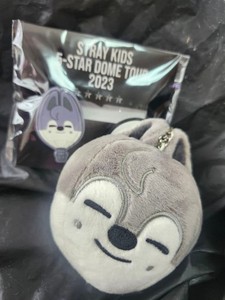 Skzoo Bag Charm | eBay