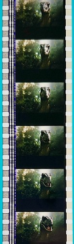 Jurassic Park 3 2001 Very Rare Unmounted 35mm Film Cells - Picture 22 of 51