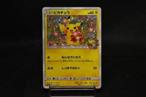 Pikachu 224 Sm P | eBay
