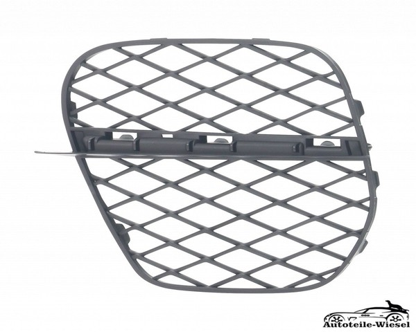 StoßStangengitter FüR BMW X5 Links Vorne 07-13-image