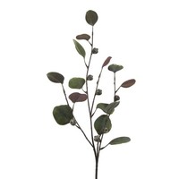 Kunstpflanze Eukalypthuszweig, 6Er Set, Farbe GrüN, HöHe Ca. 73 Cm