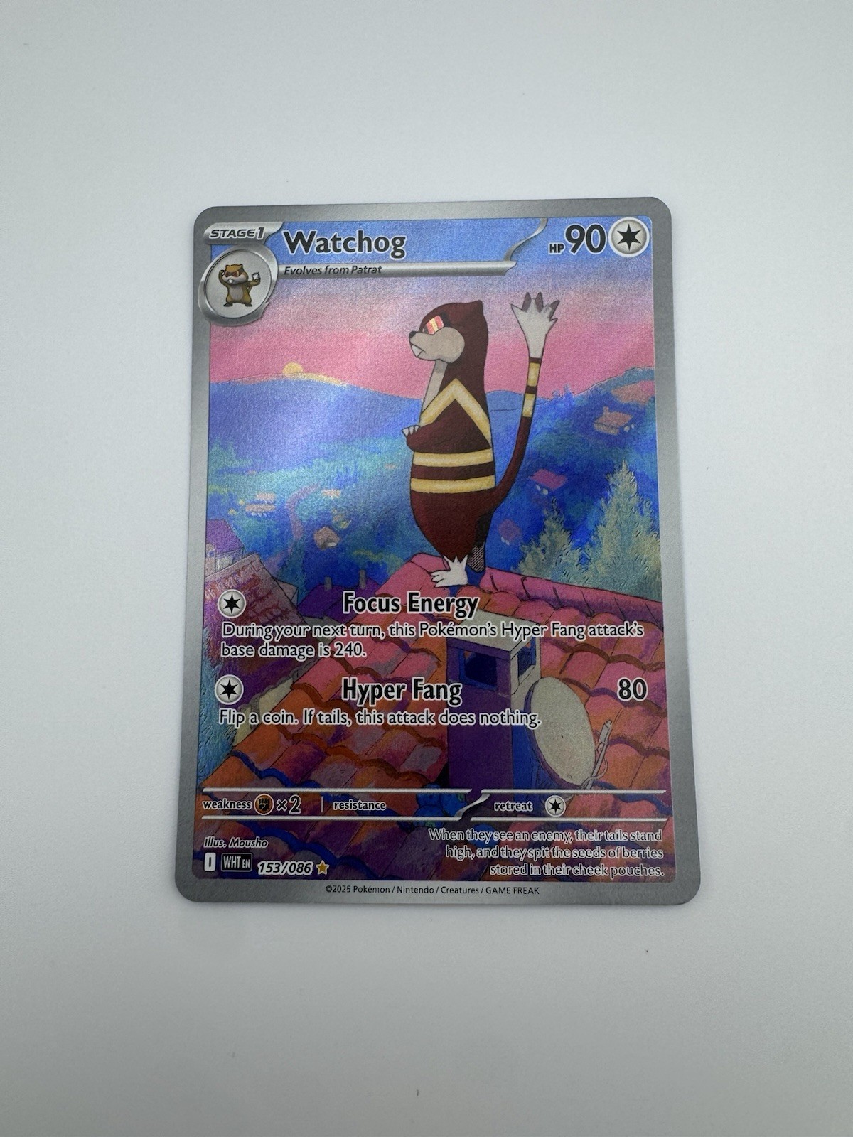 Watchog 153/086 Illustration Rare SV: White Flare Pokemon TCG NM