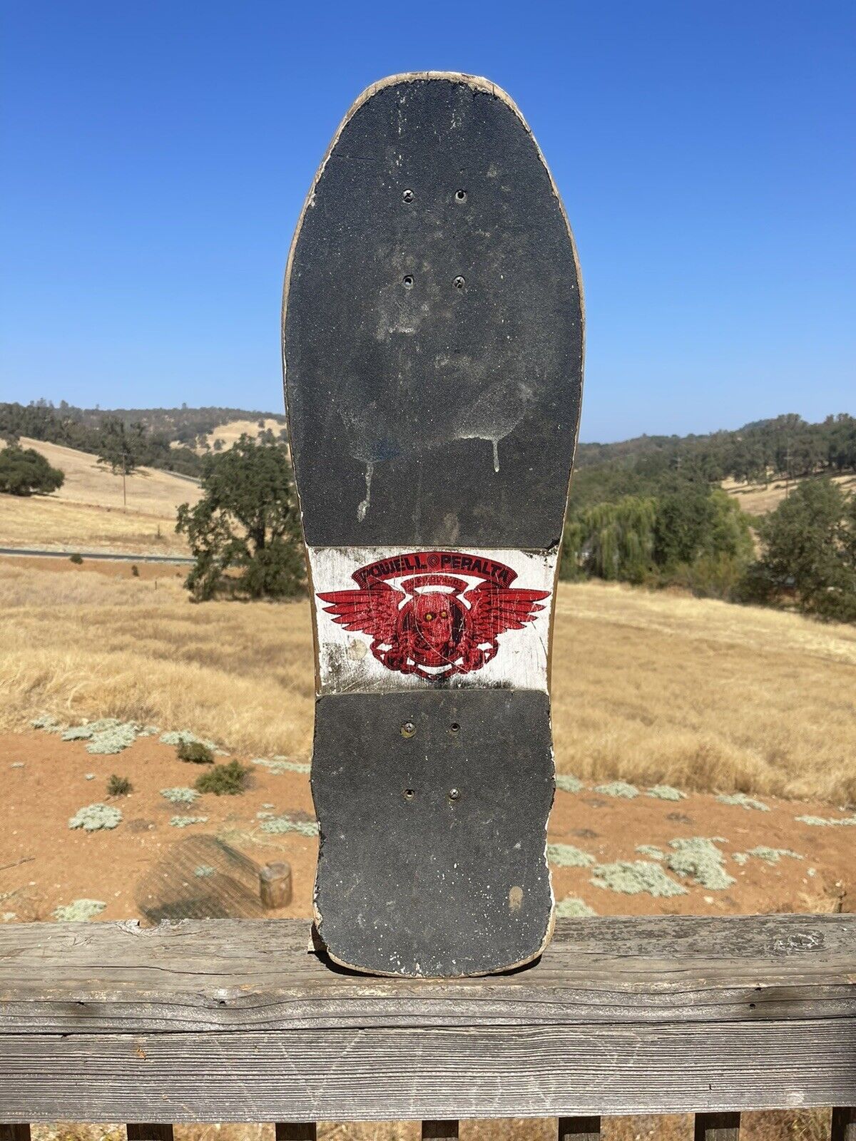 Vintage Powell Peralta skateboard Skull and Sword Complete