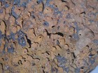 ANCIENT VOLCANIC ROCK--UNIQUE SPECIMEN--FOUND IN KERN COUNTY, CALIFORNIA — photo 9