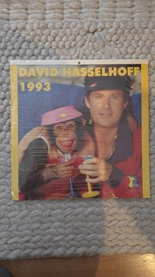 David Hasselhoff Kalender 1993 - wieder verwendbar in 2027, rare, vintage, retro