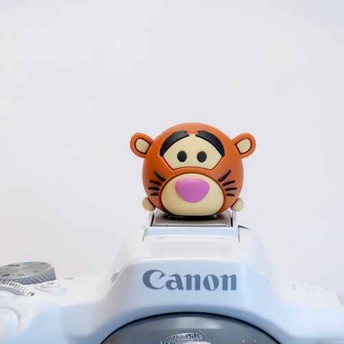 Cartoon camera hot shoe cover. For Nikon Sony Canon Fujifilm Panasonic Ricoh - Picture 42 of 58