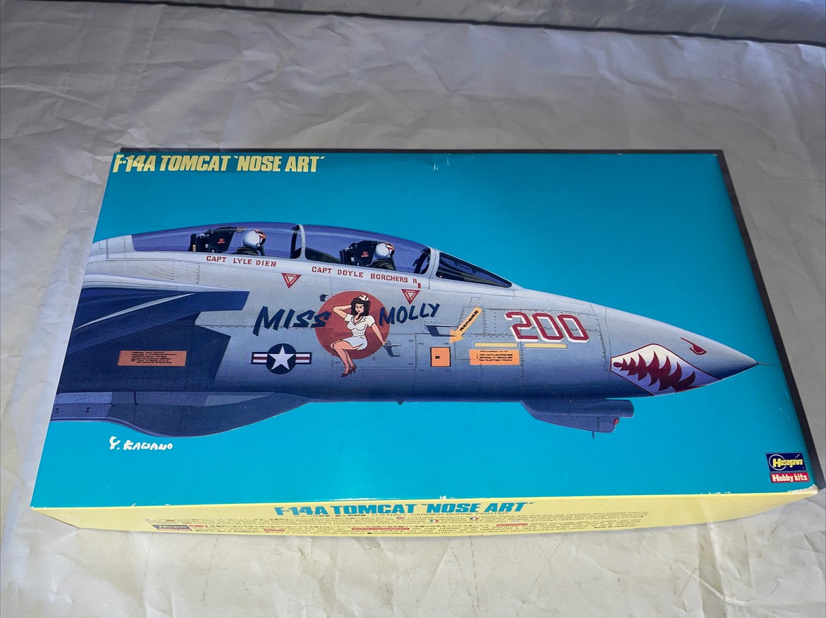 1/72 F-14A Tomcat Nose Art Limited Production New Not Sealed | eBay