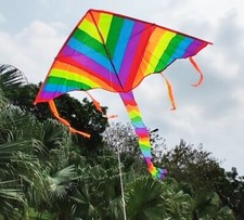 Drachenset Rainbow Eddy Flugdrachen Kinderdrachen Drachen fliegen 95 x 140cm