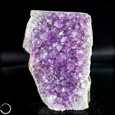 Natürliche Amethyst-Kristall Druse - 744,51g