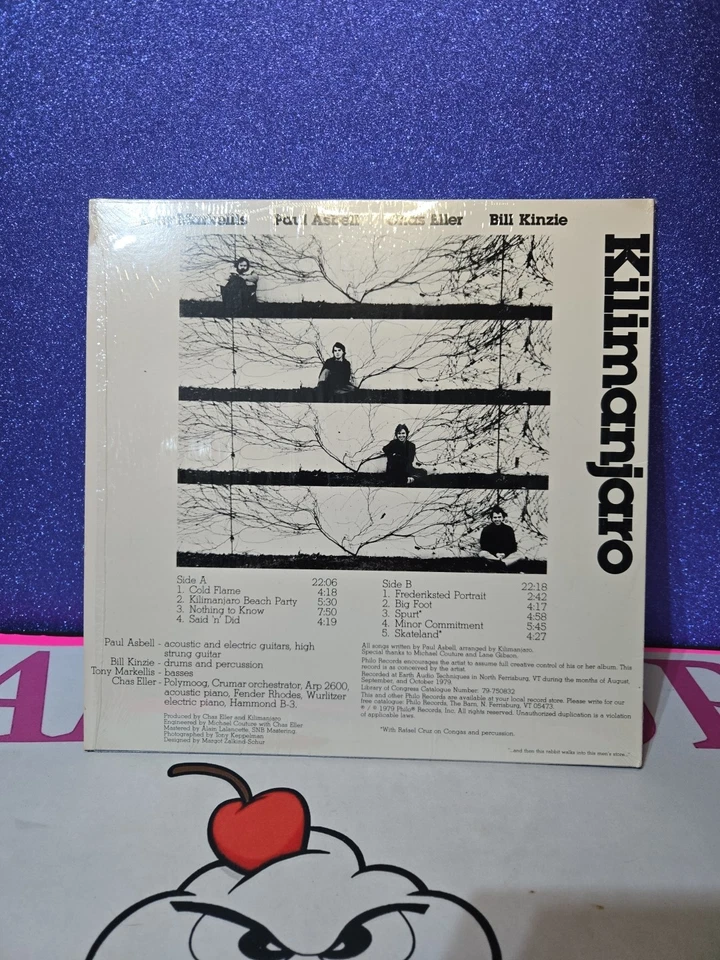 KILIMANJARO - SELF TITLED - PHILO 9001 - VINYL LP - Image 3 of 4