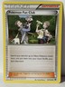 Pokemon Fan Club 107/124 XY - Fates Collide NM Pokemon Fast Shipping