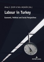 Labour In Turkey | Economic, Political And Social Perspectives | AkçAgüN (U. A.)