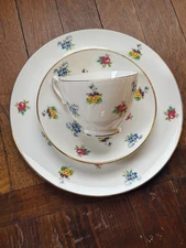Crown Staffordshire Tea Cup Saucer Plate Floral Rose Pansy Teacup Trio Vintage