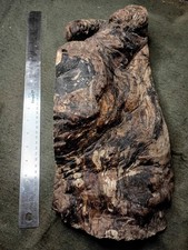 Figured Maple Burl Live Edge Sculptural Wood Slab Carving Resin Blank 17x8x4