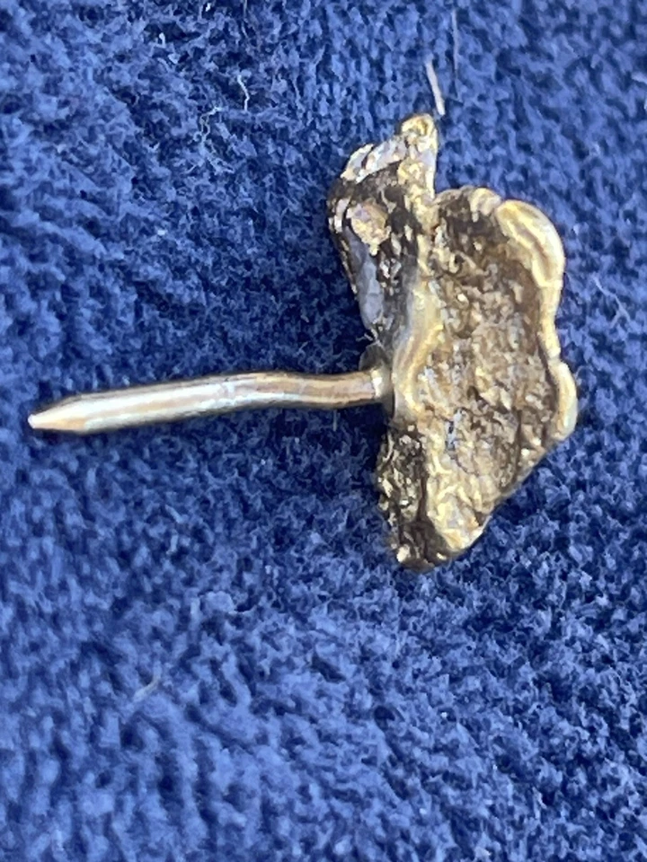 Gold Nugget Tie Pin Found In Arizona/Mohave County 2.2 Grams - Image 3 of 4