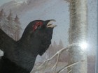 Bild 2 von 6