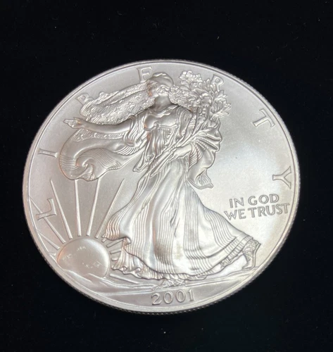 2001 American Silver Eagle ASE 1oz .999 Fine Silver BU In Capsule