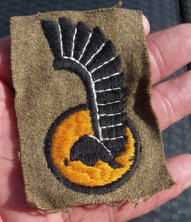 A GENUINE WW2 POLISH 1ST ARMOURED DIVISION CLOTH FORMATION BADGE.
