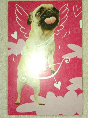 ZWEI American Greetings Valentinskarten Mops Hund "Cupug" 5" x 7" mit Umschlag - Bild 1 von 2