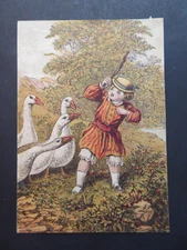 Colour illustration print boy attacked by flock of geese