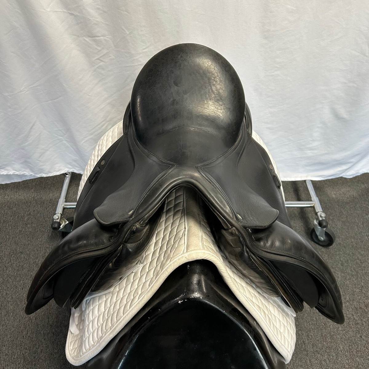 Sangle De Selle (Circonférence) Schleese - 34" X 8" - ESB Noire - Cuir - Occasion