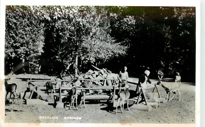 RPPC Postcard Feeding Deer by Hand Deerlick Springs CA Trinity Co Posted Platina