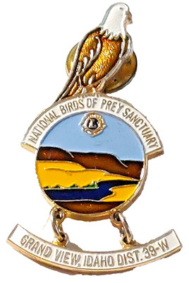 Lions Inter. Dist. 39W  ''Natl. Birds of Prey Sanctuary'' Grand View Idaho Pin