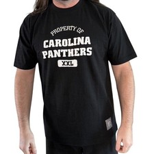 Mens Vintage Y2K Reebok NFL Classic Carolina Panthers Football T-Shirt Large EUC