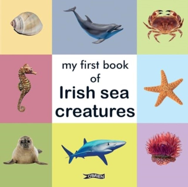 My First Book of Irish Sea Creatures (First Steps) - Image 2