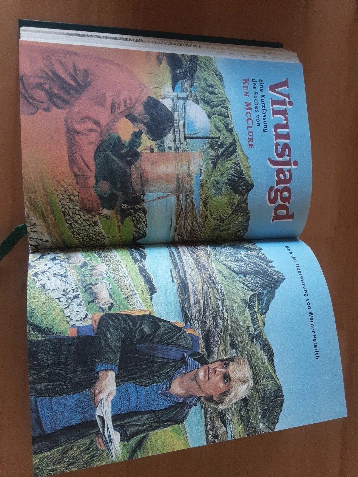 Bild 7 von 7