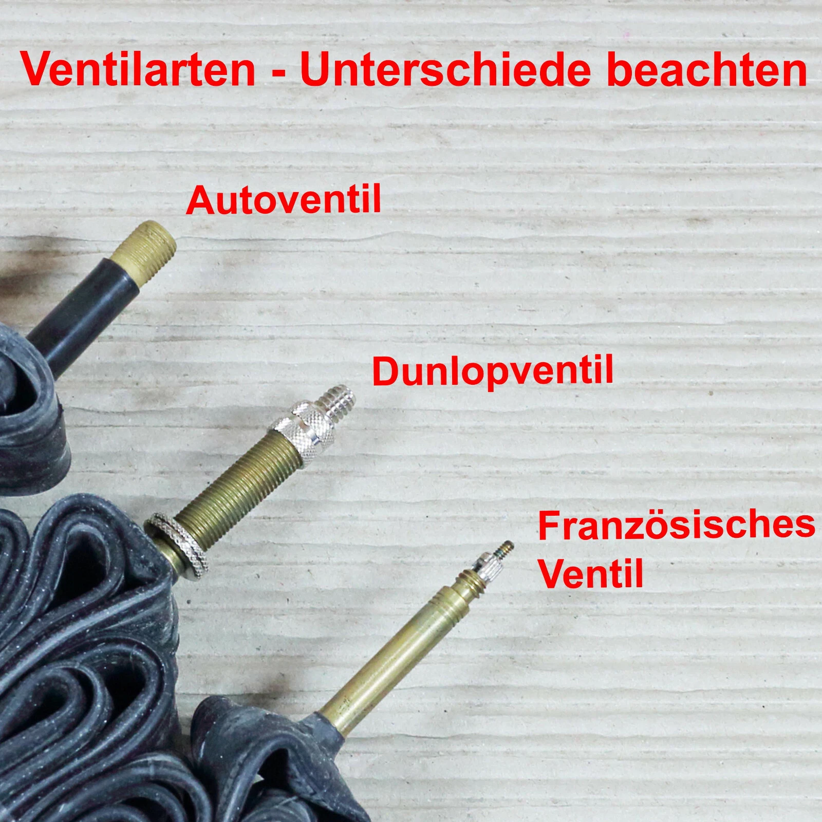 Bild 3 von 3