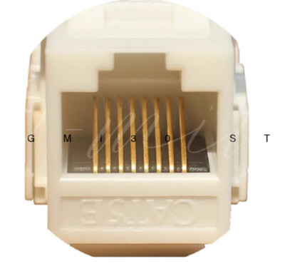 100PCS   Category 5 Unshielded Module RJ45 Network Module TF1015A #E6*