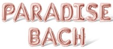 PARADISE BACH Letter Balloon Banner - DIY Bachelorette Party Supply Decorations