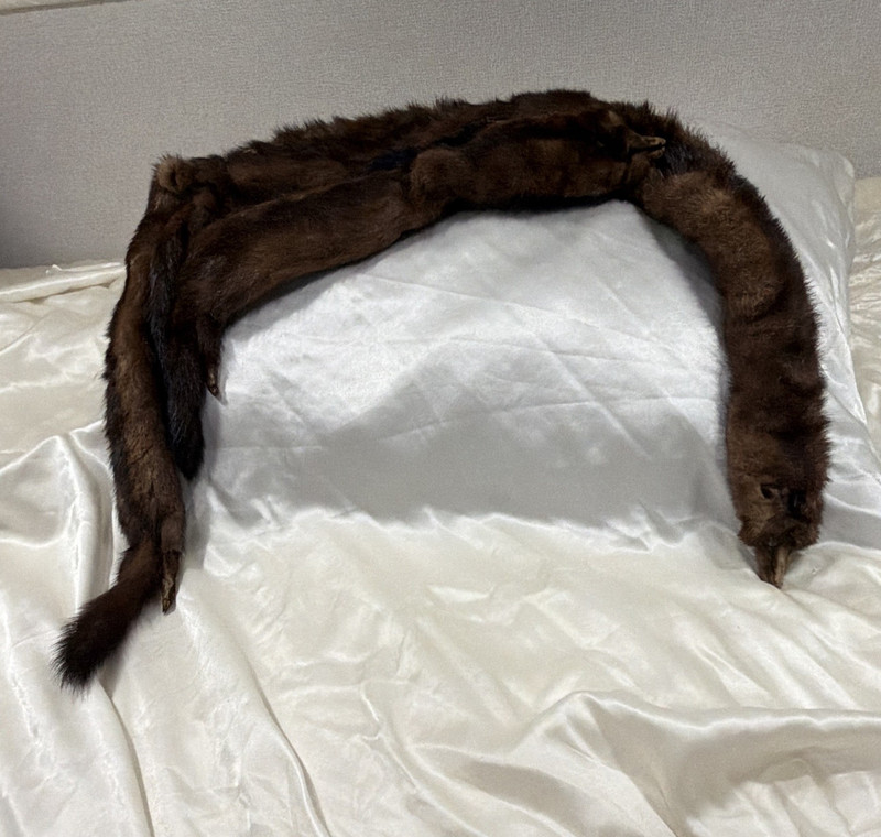 Vintage 1950s Real Mink Fur Stole | Full Pelt Taxidermy Scarf with Heads, Paws