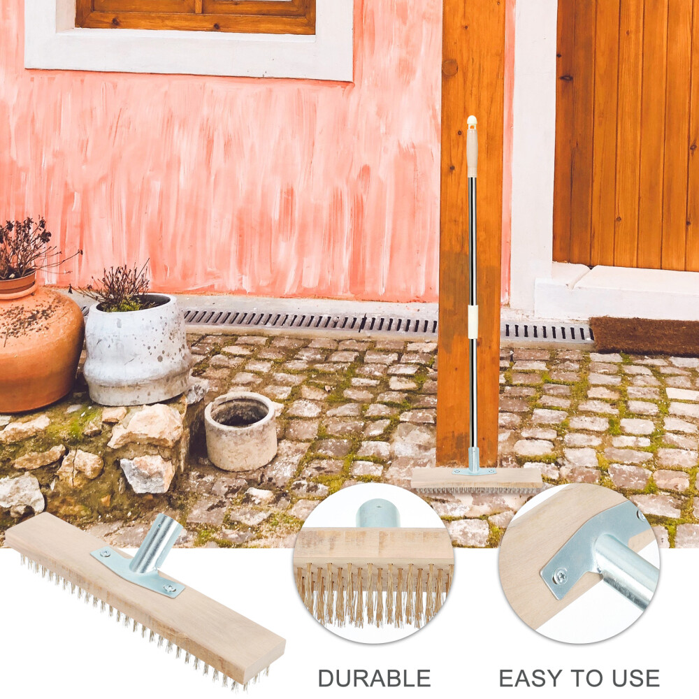 Garden Steel Wire Brush Moss Brush Moss Removal Brush eBay