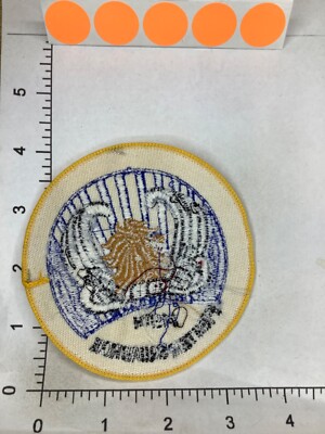 USAF 119th Fighter Squadron パッチ USAF JAPANESE MADE 119TH FIGHTER SQUADRON PATCH | eBay