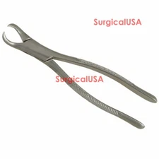 Extracting Forceps Cow Horn #23 Serrated Beaks NEW Dentist Dental Instruments