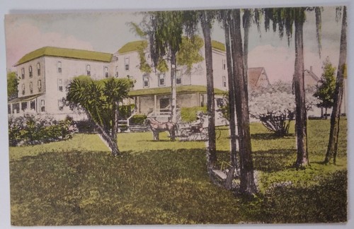 Florida Postkarte 1913 Original Selten Florence Villa Resort Winter Park Pferdekrug