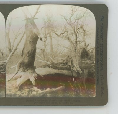 After Day's Hunt is Over Hunting H.C. White Stereoview