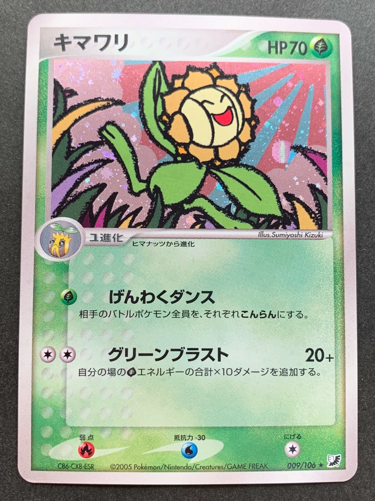 Pokemon card Sunflora 009/106 2005 Japanese Pokémon TCG Holo Rare Nintendo