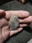 Authentic Missouri Novaculite Hopewell Point Indian Arrowhead Artifact — photo 7